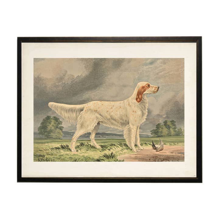 Vintage irish red and white setter on distressed background for wholesale by Antique Curiosities Inc
