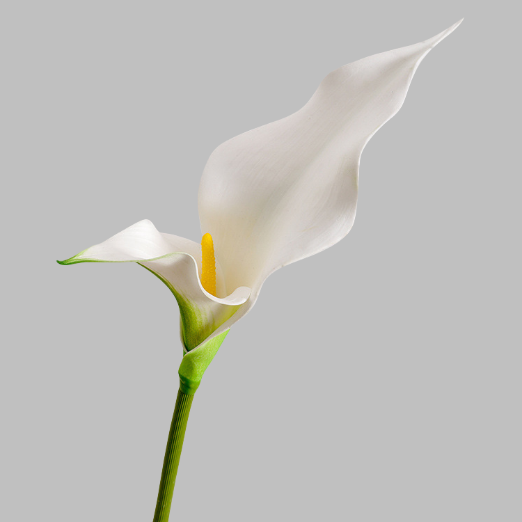 ACNITE(We cover U.S. import duties) - Wholesale Kunstbloemen - Nep calla lelie met 2 blaadjes en realistische feel voor woningdecoratie3