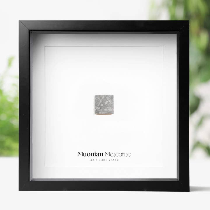 Cornice Muonian Meteorite Real Authentic Meteor Box per la vendita all'ingrosso da parte di Curated Studio