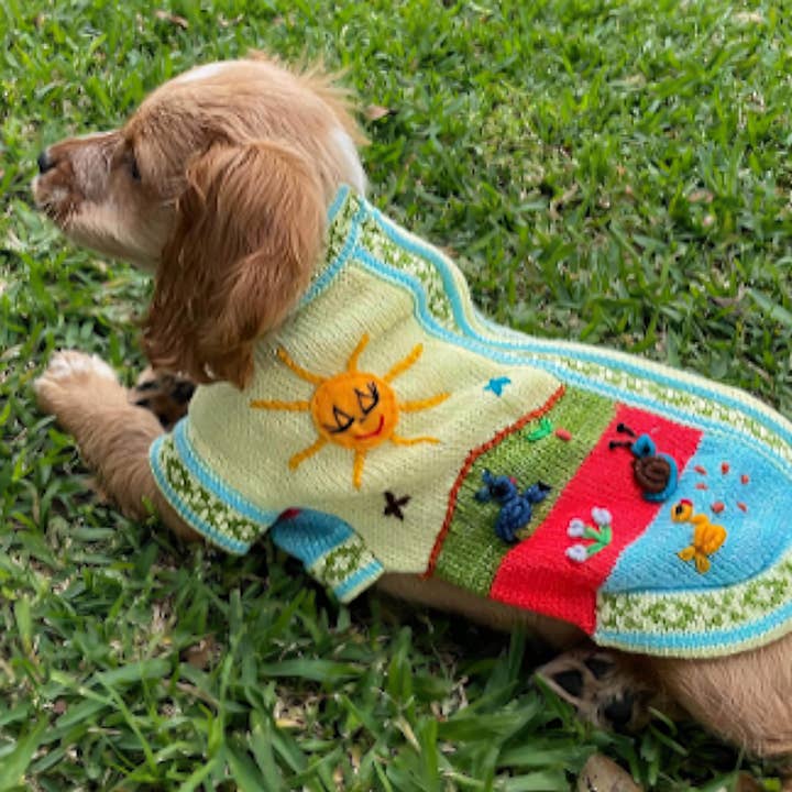 Peruaanse trui voor hond voor wholesale door Sinchi Warmi