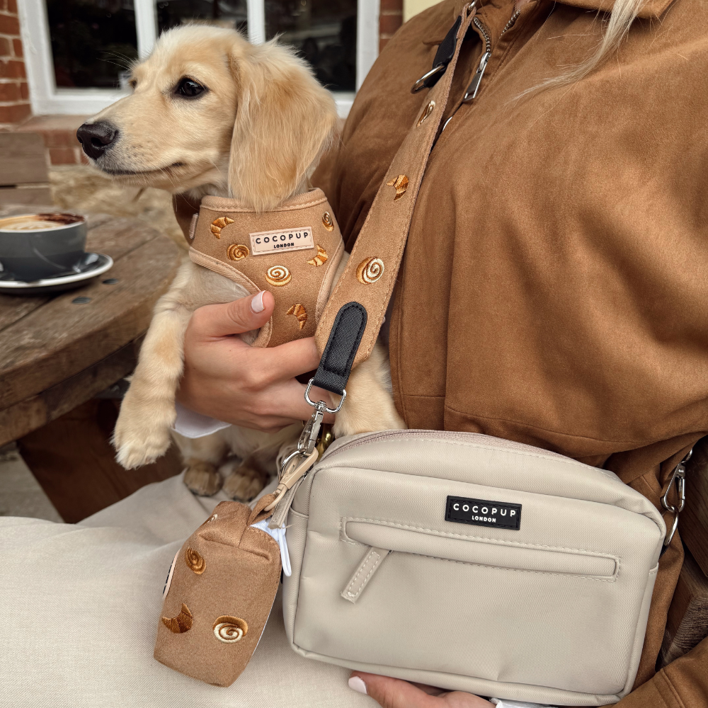 Cocopup London - Wholesale Pet Harness - Dog - Pawtisserie Adjustable Neck HARNESS4