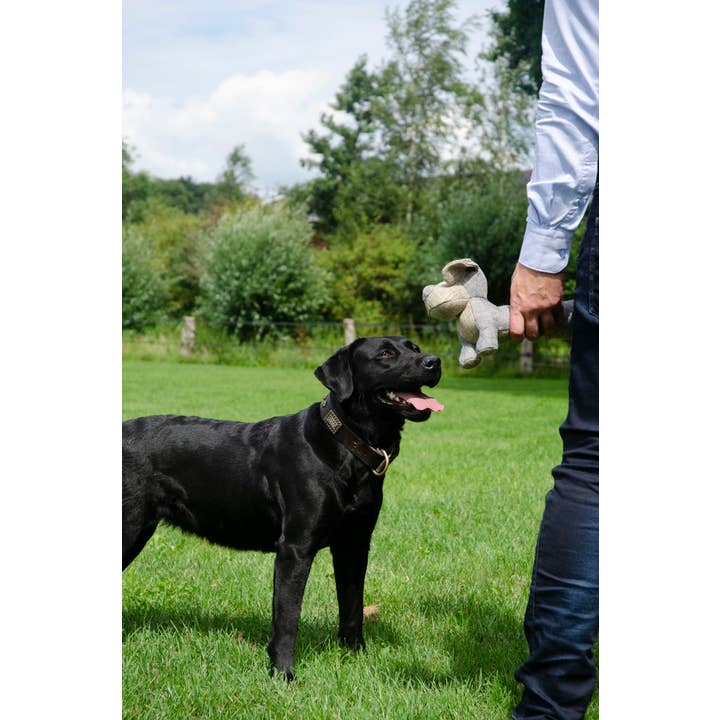 Hofman Animal Care - Wholesale Pet Plush Toy - Dog - Landhond Buddy1