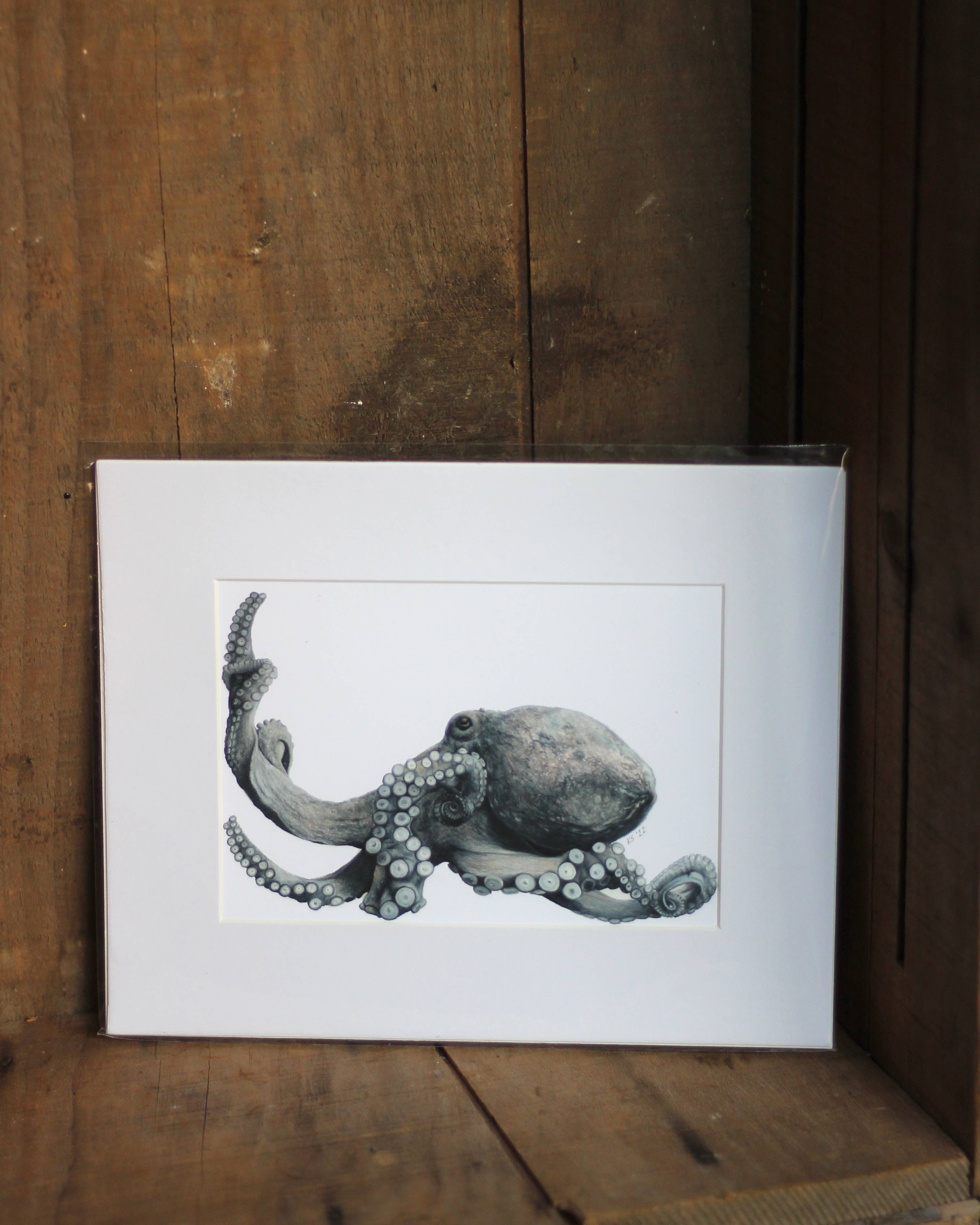 stück in the studio - Wholesale Art Print - octopus - print1