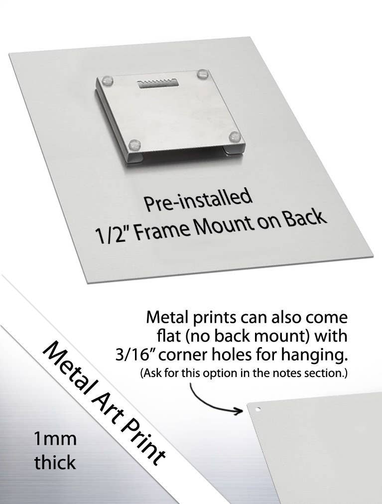 The Bungalow Craft - Wholesale Art Print - Colorado School Of Mines (CSM)5
