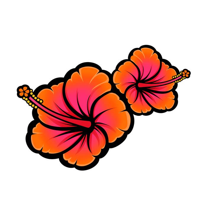 Blomklistermärke - 50 Orange Hibiscus Duo Die Cut Klistermärken för wholesale av Aurora Stickers