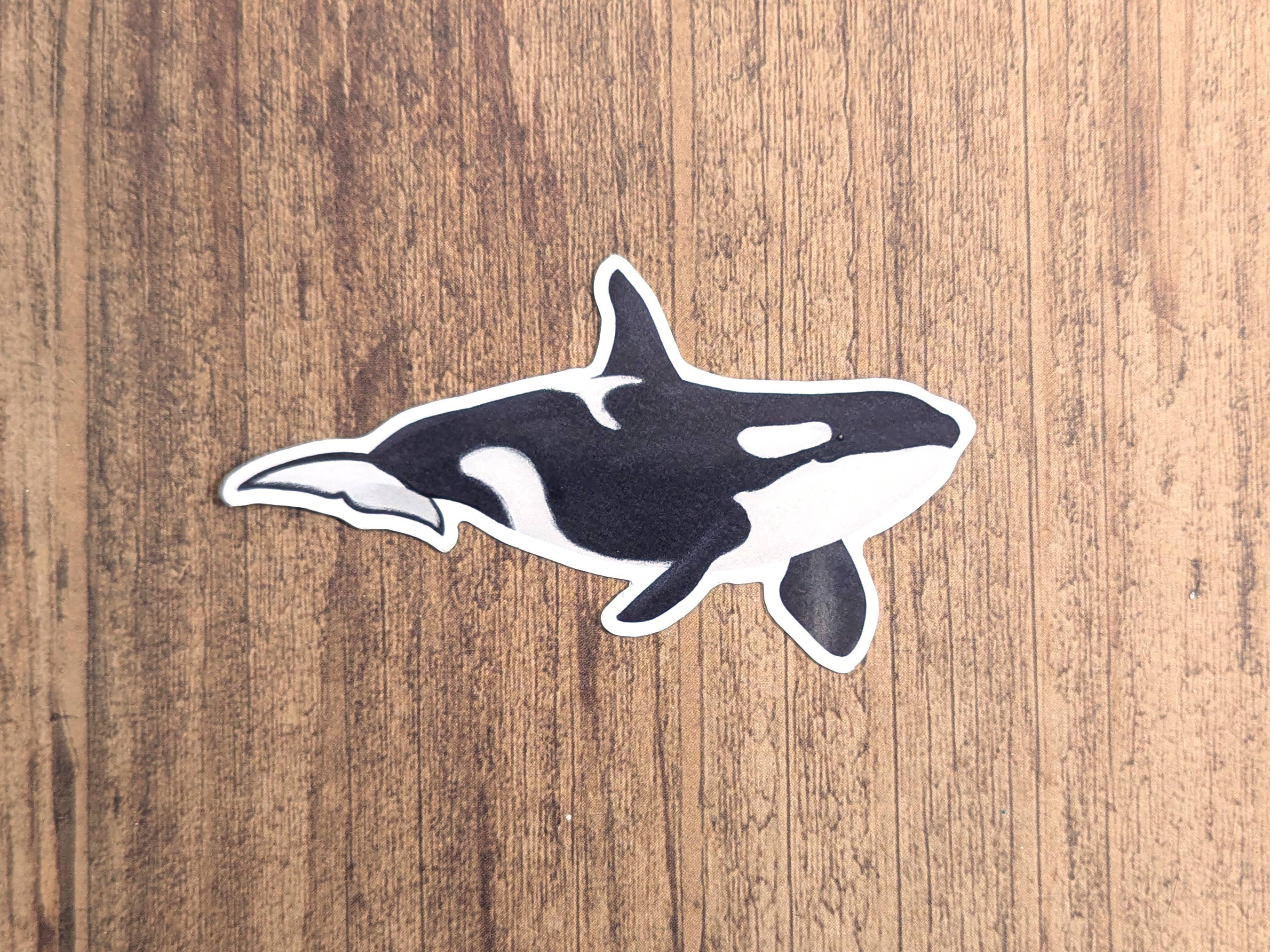 Proper Wolf - Wholesale Sticker - Orca Killer Whale Vinyl Sticker Decal2