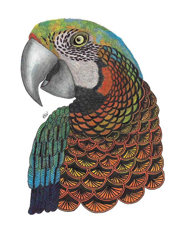 TangleEasy Lined Journal Parrot for wholesale by Fox Chapel Publishing
