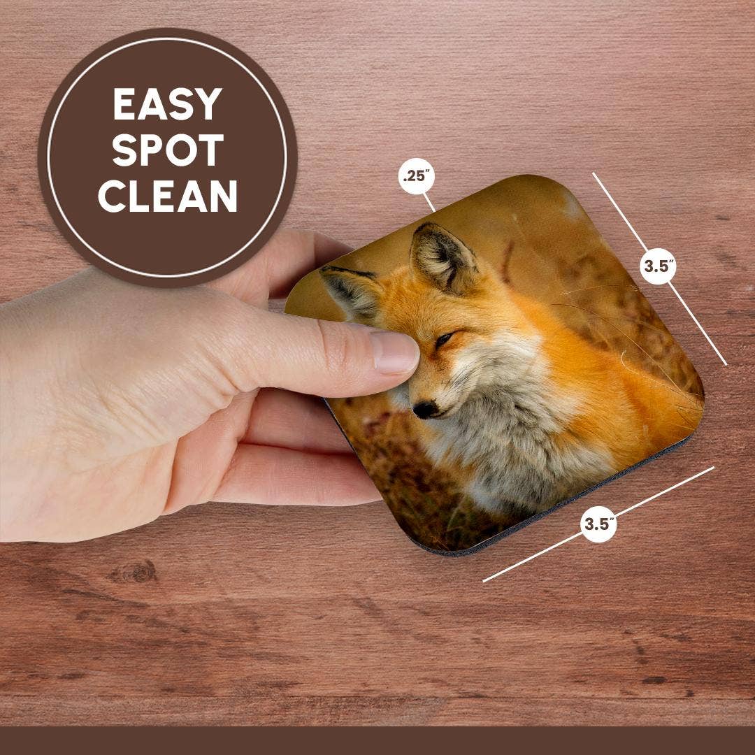 3dRose - Wholesale Coasters - 3dRose, Red Fox, Coaster13