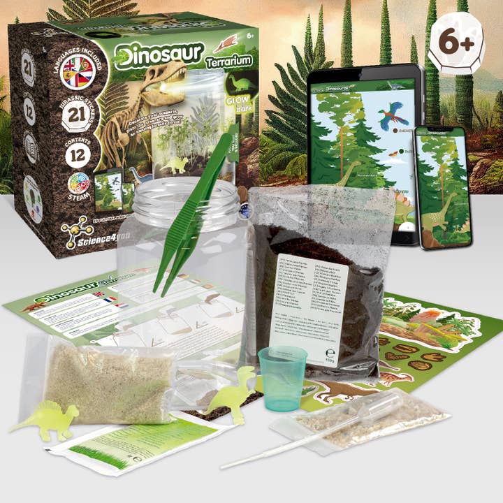 Science4you - Vendita all'ingrosso Kit per lavoretti fai da te - Bambini - Dinosaur Terrarium - Terrario ecologico per bambini (7 lingue)2
