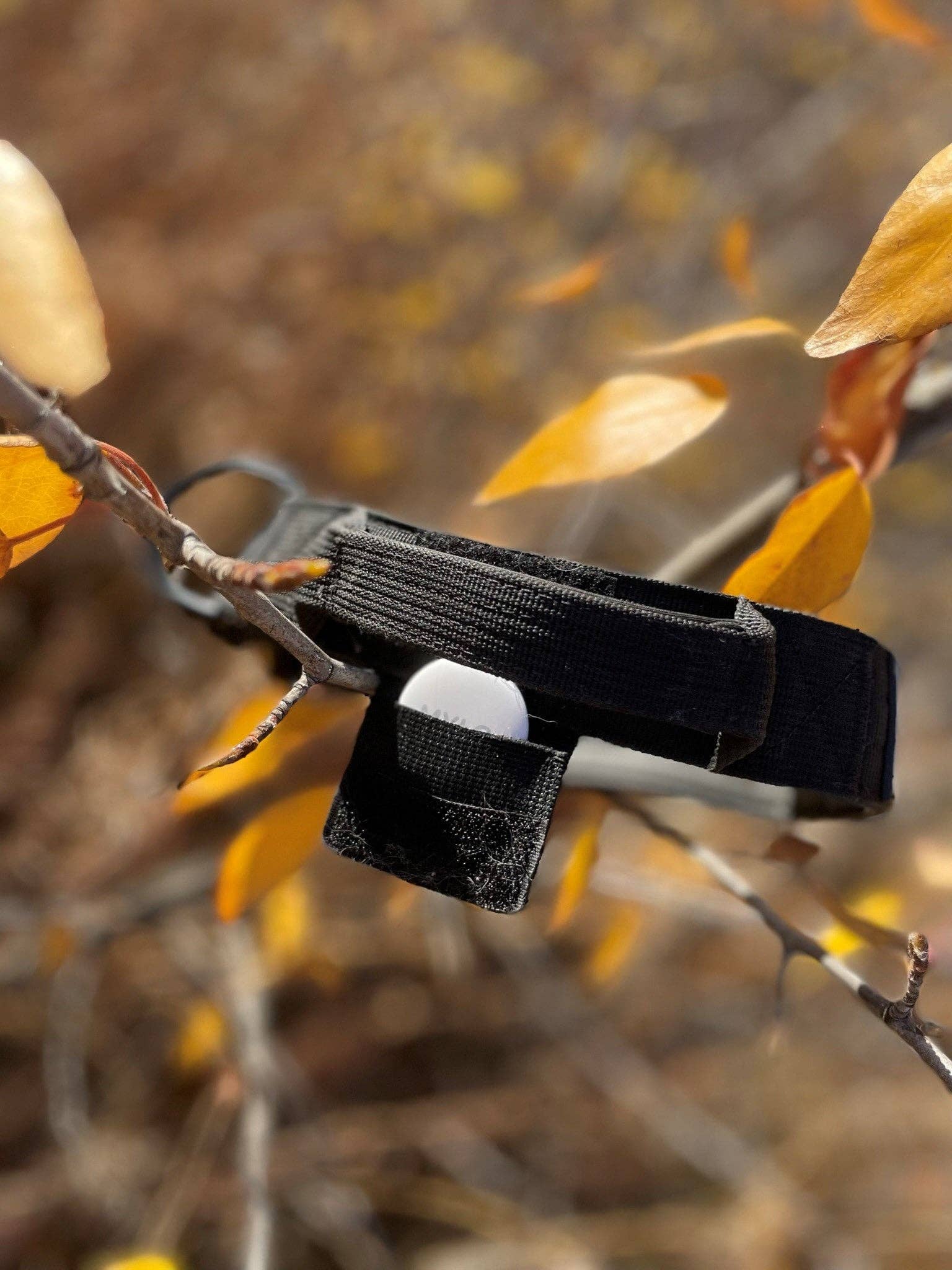 PETROAM - Wholesale Pet Collar - Dog - Air Tag Pocket Tactical Dog Collar6