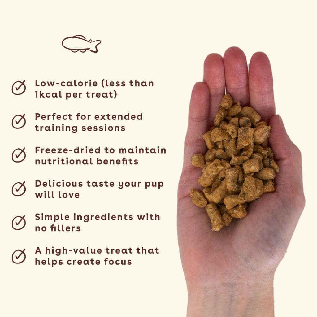 Pupford - Vente Friandises – chien - Gâteries d'entraînement au saumon lyophilisé 4 oz1