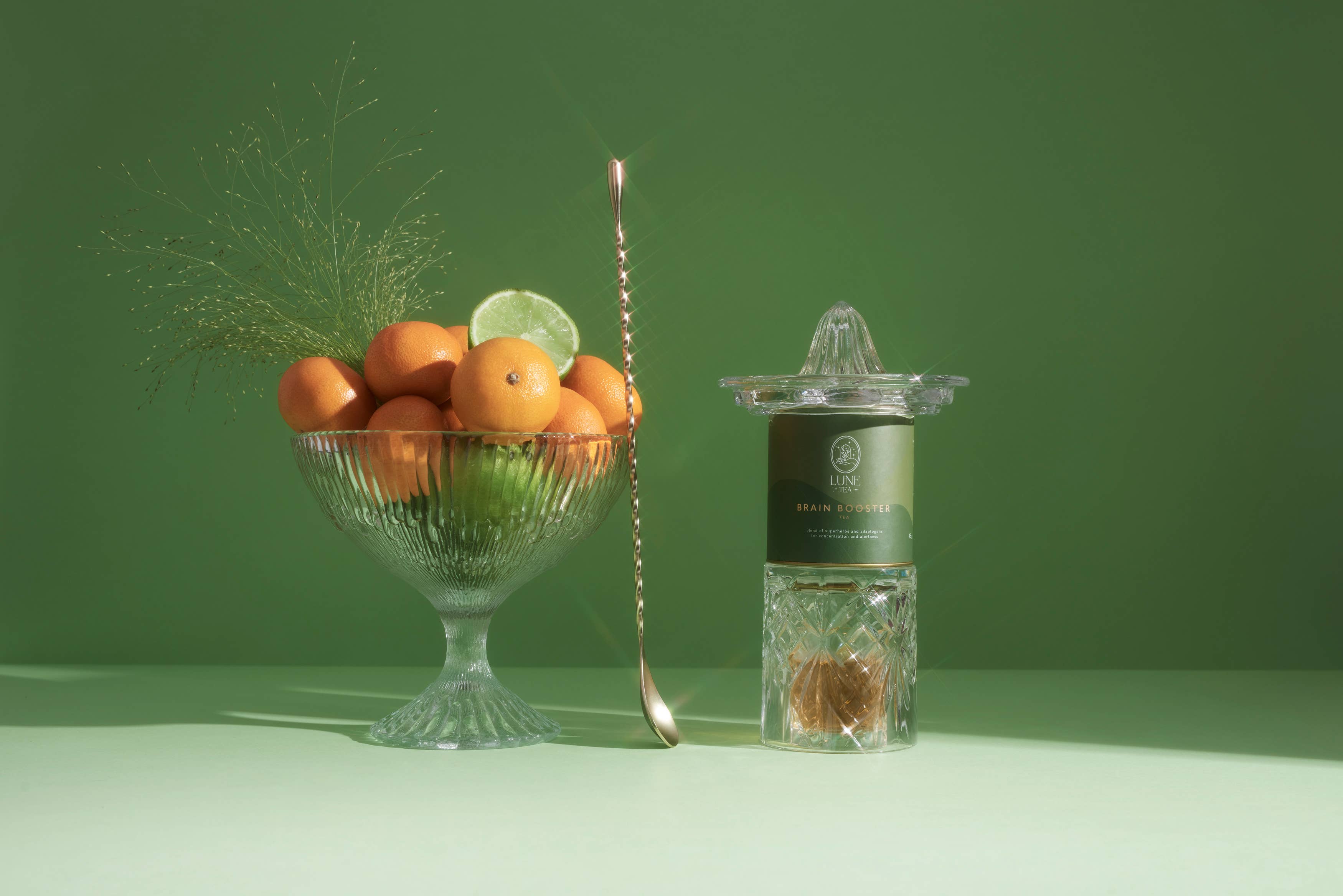 Lune Tea - Vente Thés santé/détox - Brain Booster - Infusion pour concentration et soutien cérébral2