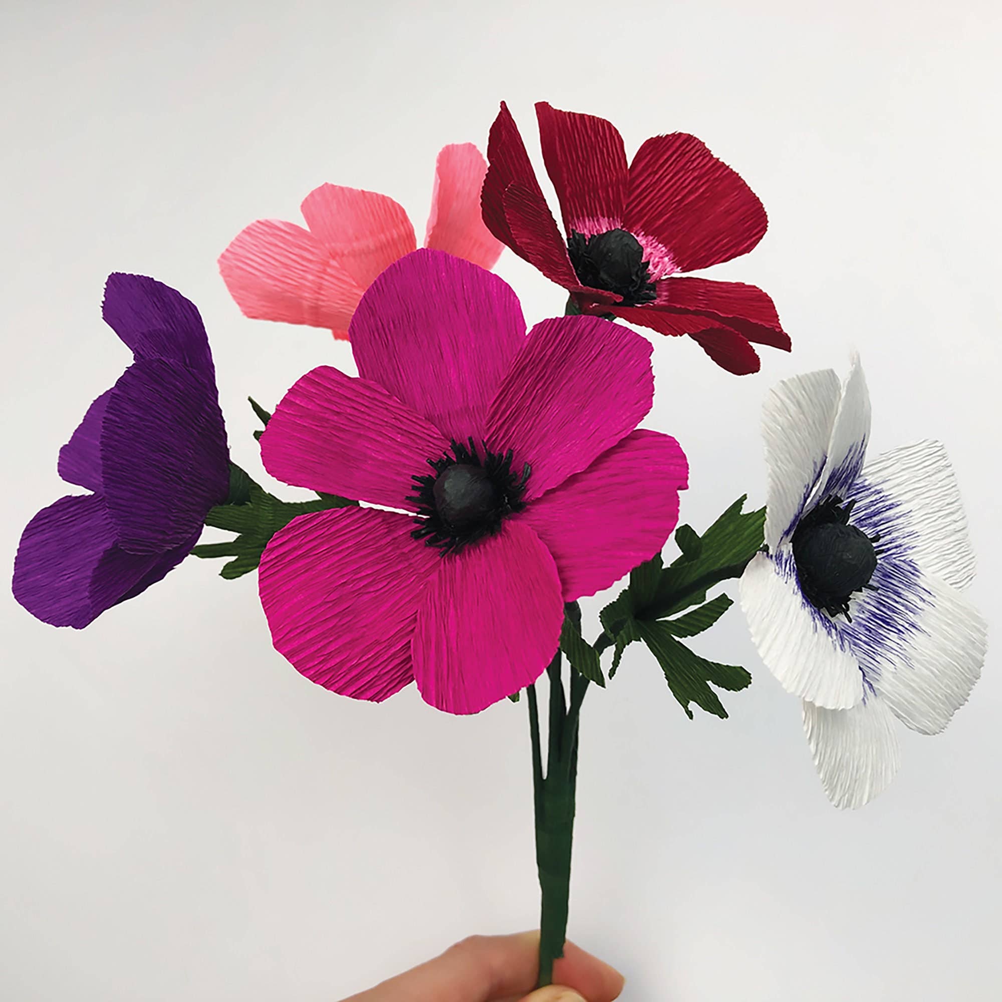 Bergin & Bath Paper Anemone Flower Making Kit