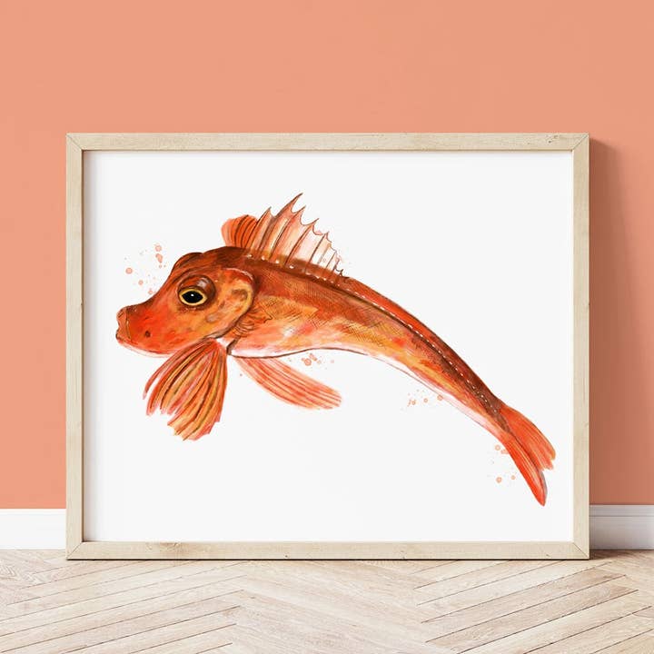 Cornish Gurnard Cornwall Art Print for wholesale by Sarah Whittle Illustration