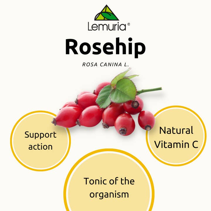 Lemuria - Wholesale Oral Supplement/Vitamin - Total Extract Supplement for Vitamin C - ROSEHIP 30ml2