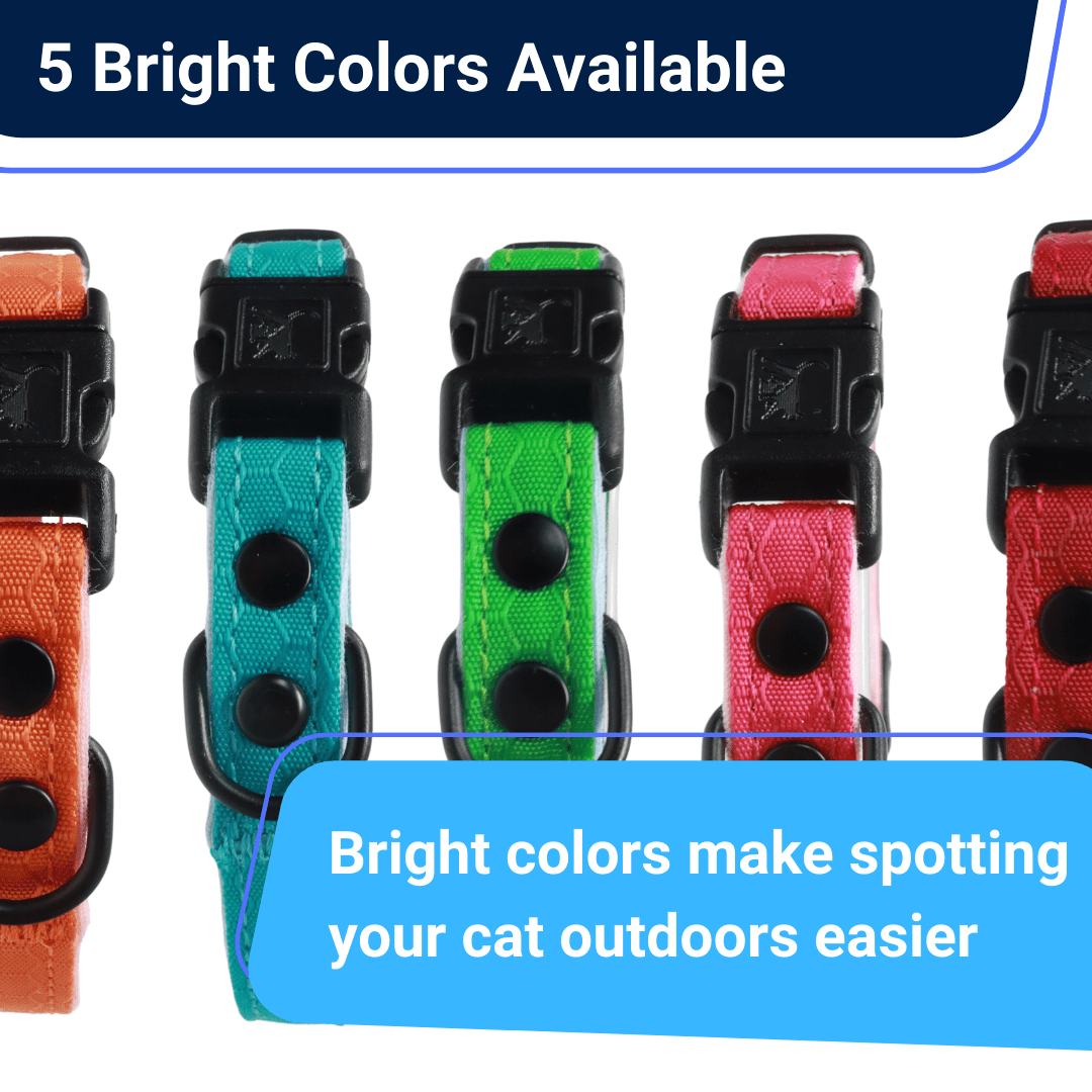 Outdoor Bengal - Wholesale Pet Collar - Cat - Durable Break-Away Cat Collar12