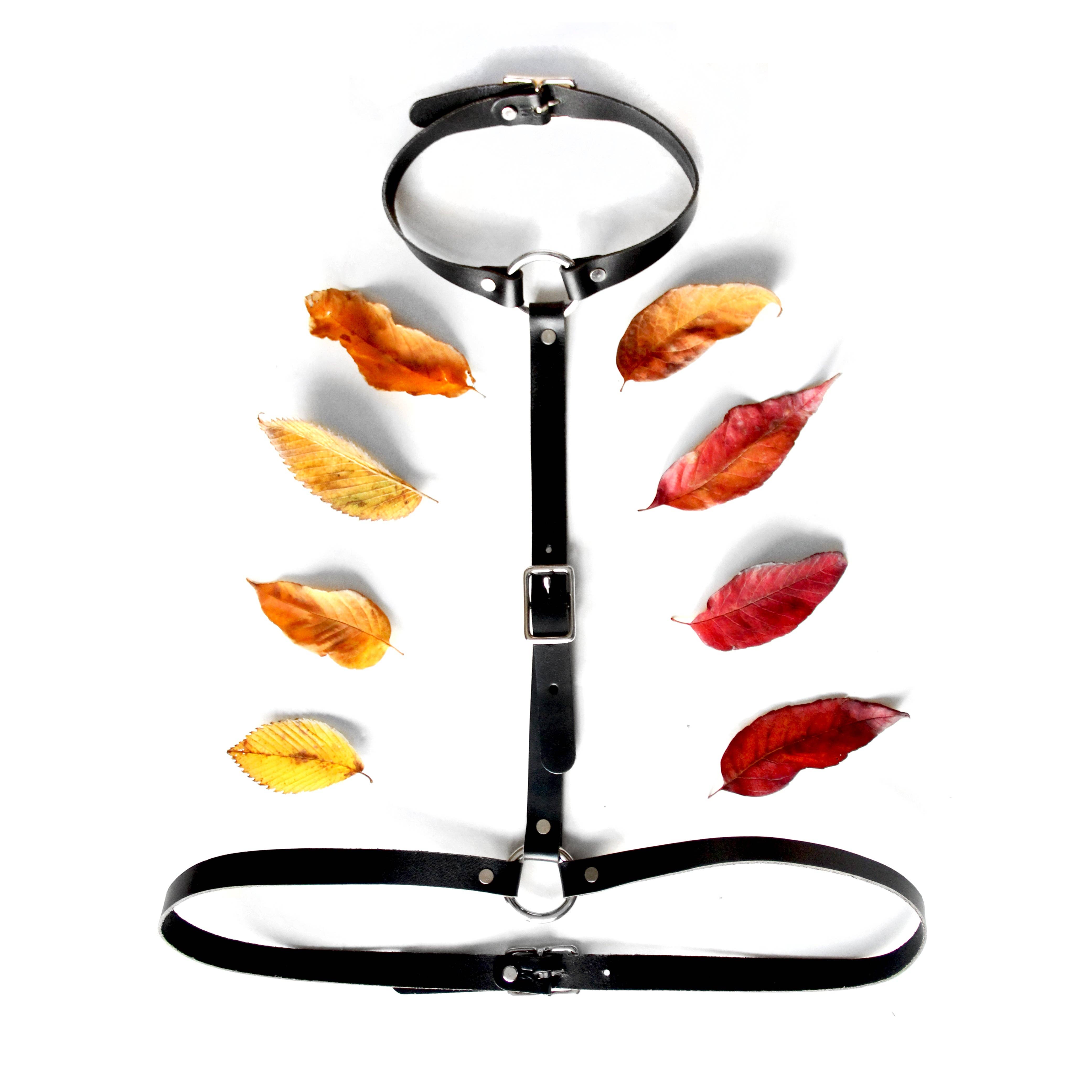 Audio Helkuik - Wholesale Fashion Harness - Women's - Artifice Harness8