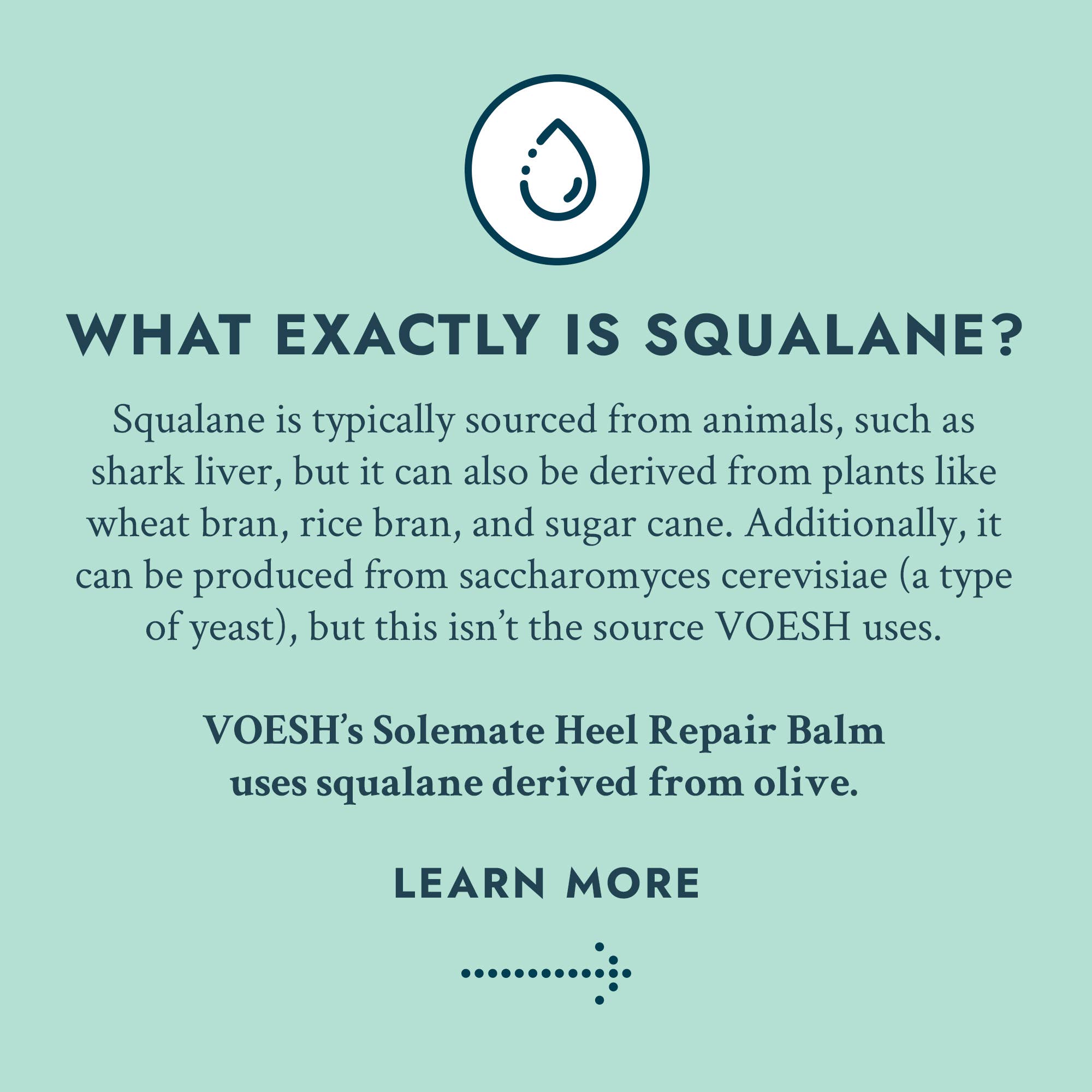 VOESH New York - Wholesale Foot Cream - Solemate Heel Repair Balm Retail Display Kit - Mint6