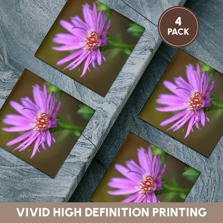 3dRose - Wholesale Coasters - 3dRose, A macro photograph of a single purple aster flower., Coaster5