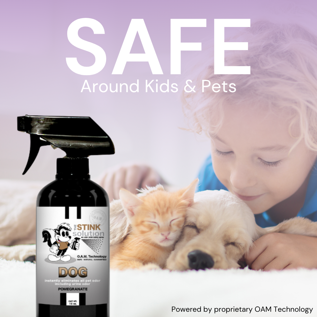 The Stink Solution - Wholesale Pet Deodorizing Spray - Dog Odor Eliminating Spray - Pomegranate 16 oz5