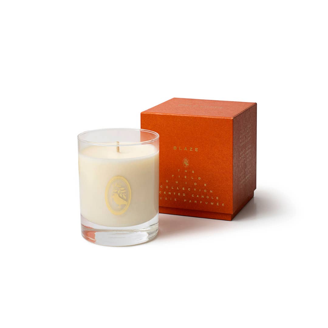 Field Guide Essentials – wholesale Burkljus – Blaze Signature Sojaljus