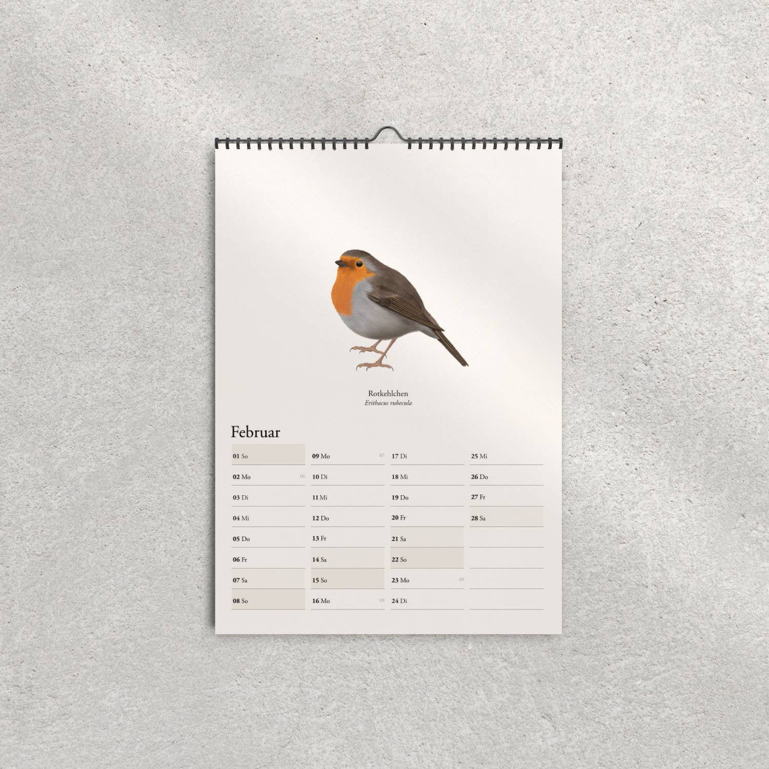 Terillu - Wholesale Calendar - Wall calendar 2026, calendar of native birds in A3 format2