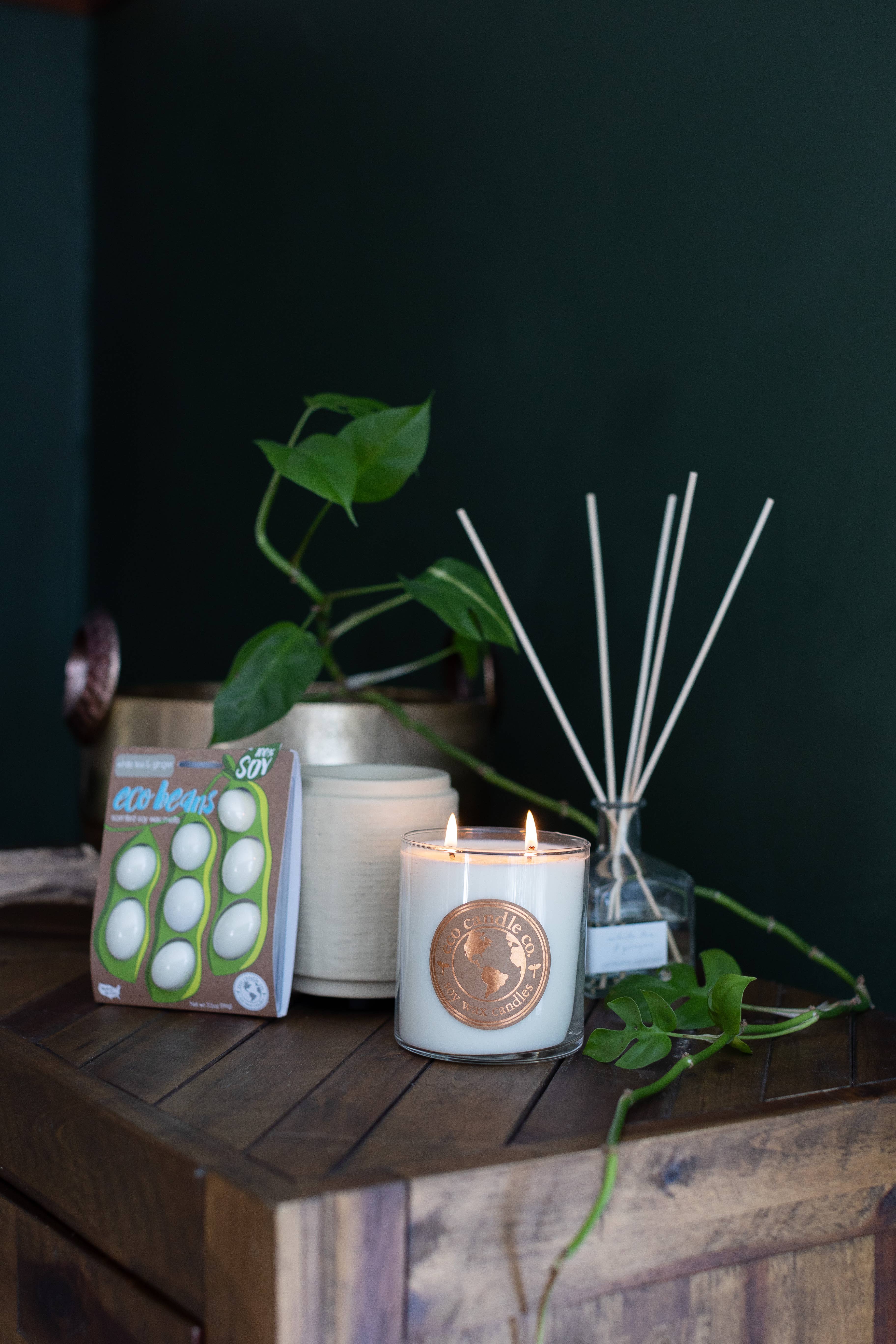 Eco Candle Company - Vendita all'ingrosso Diffusori a lamella - diffusore a lamella WHITE TEA & GINGER4