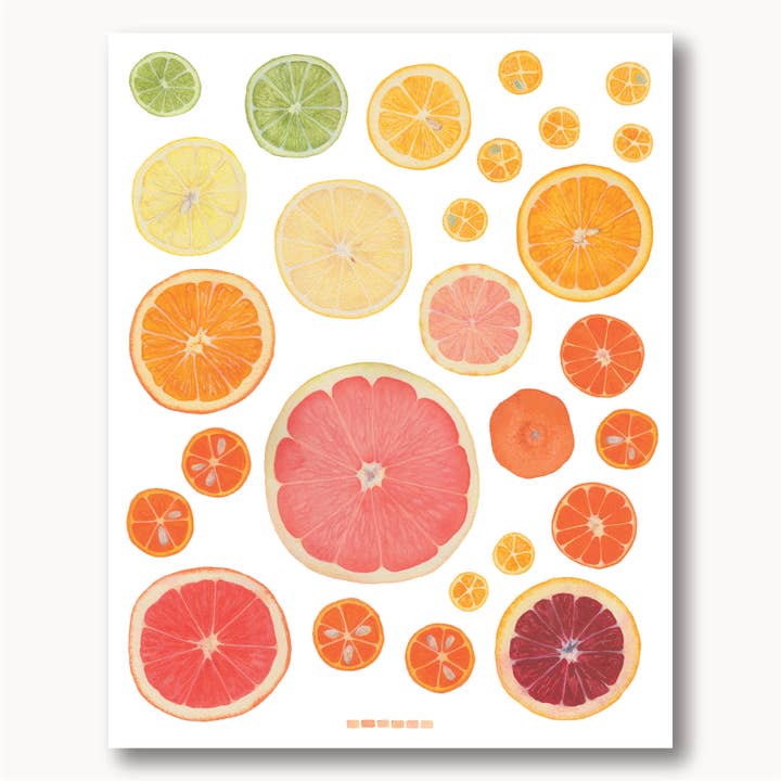 Citrus Giclee Print for wholesale by Sophie Tivona Paper