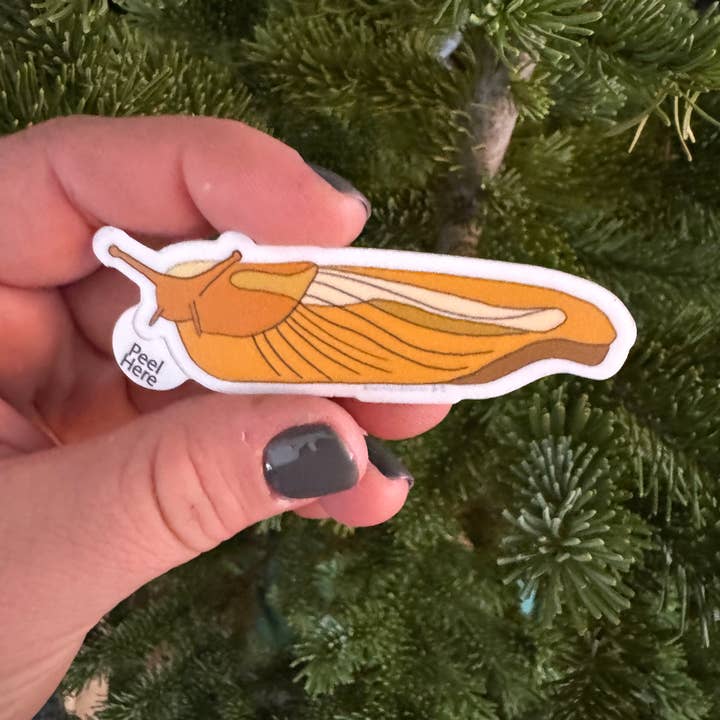 Limace banane | Autocollant en vinyle | Dessin coloré | 3 pouces pour la vente par Artwork by Sophia