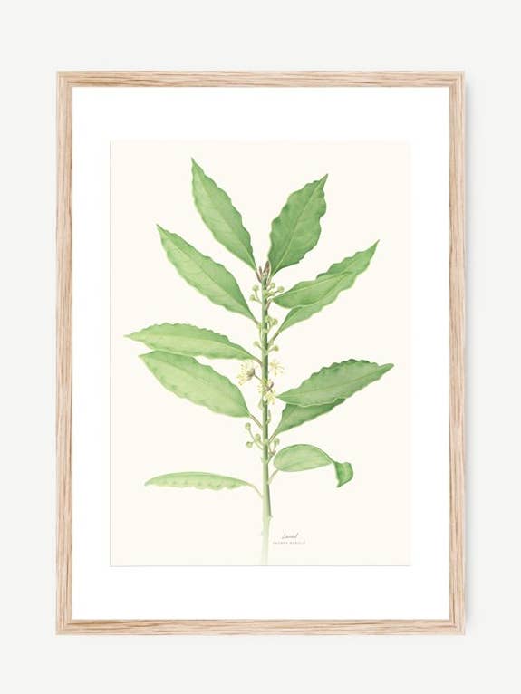 LAUREL Decorative Film for wholesale by Save the date projects