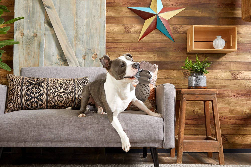 Pet Palette Distribution - Wholesale Pet Plush Toy - Dog - BARK Buck Wild3