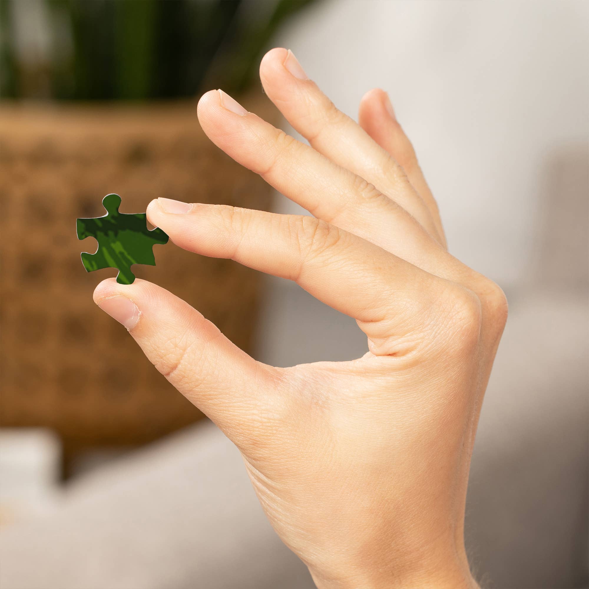 Lantern Press - Wholesale Puzzle - Adult - 1000 PIECE PUZZLE Olympic National Park, Washington Elk5