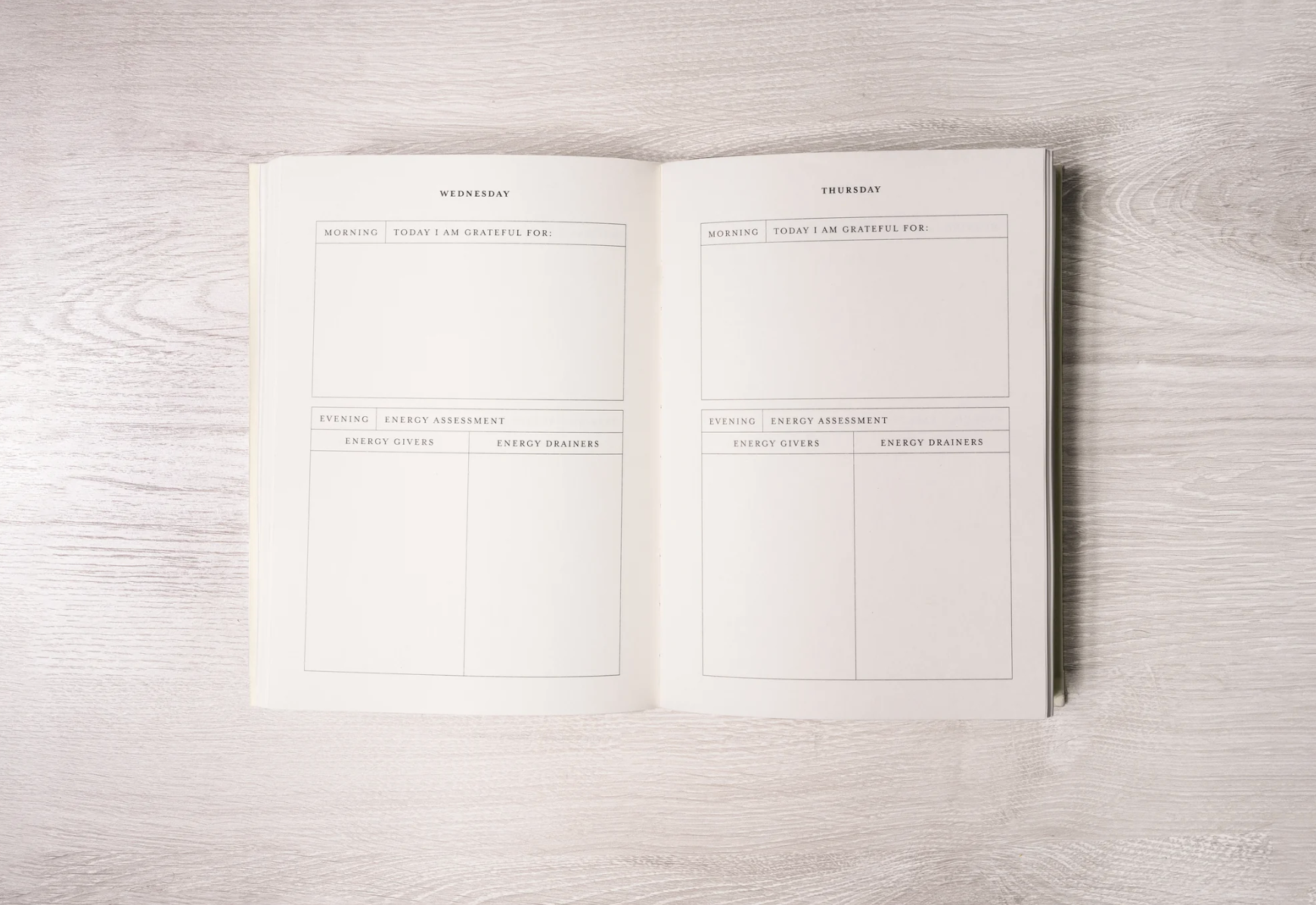 Thought Catalog - Wholesale Journal/Diary - The Becoming Journal - a guided journal2
