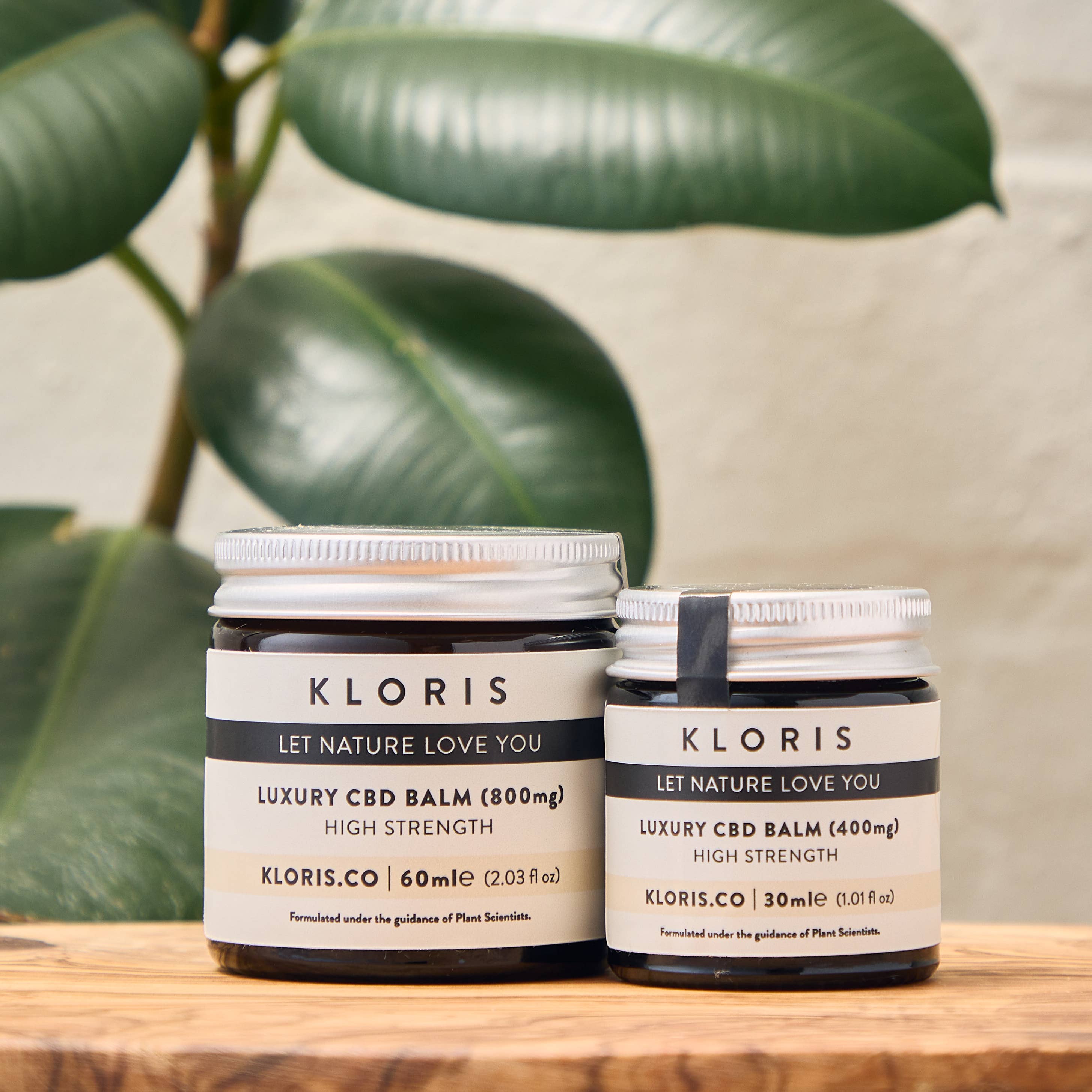 KLORIS - Wholesale Healing Salve/Balm/Cream - Luxury High Strength CBD Balm – Pain & Inflammation Support6