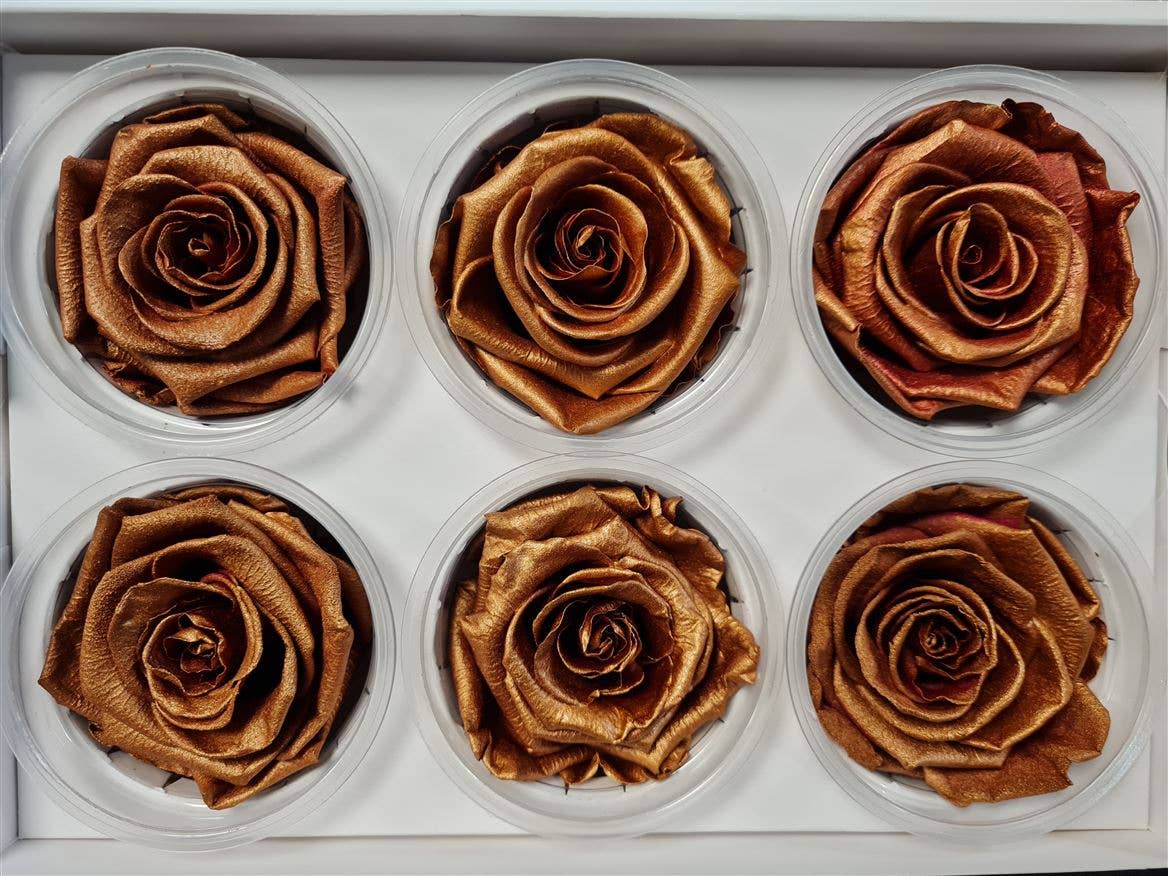 Dutch Flower Studio - Wholesale Artificial Flowers - 🌸 Preserved Roses - 13 colors - Decoration - Flowers - 6 cm10