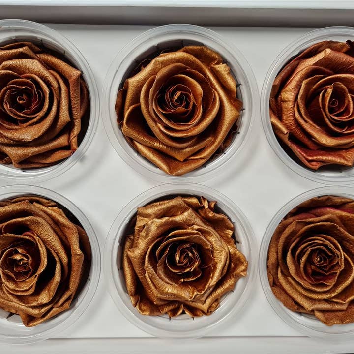 Dutch Flower Studio - Wholesale Artificial Flowers - 🌸 Preserved Roses - 13 colors - Decoration - Flowers - 6 cm10