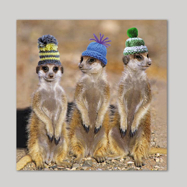 Carte de vœux Meerkats in Hats pour la vente par Icon