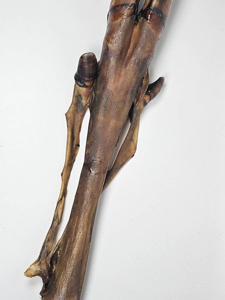 Masticable pierna de ciervo Spirit of Wild para venta al por mayor de Spirit of Wild