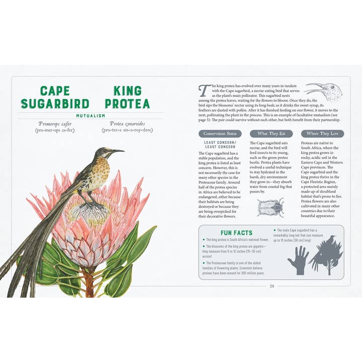 W. W. Norton - Wholesale Science & Math - A Curious Collection of Wild Companions3