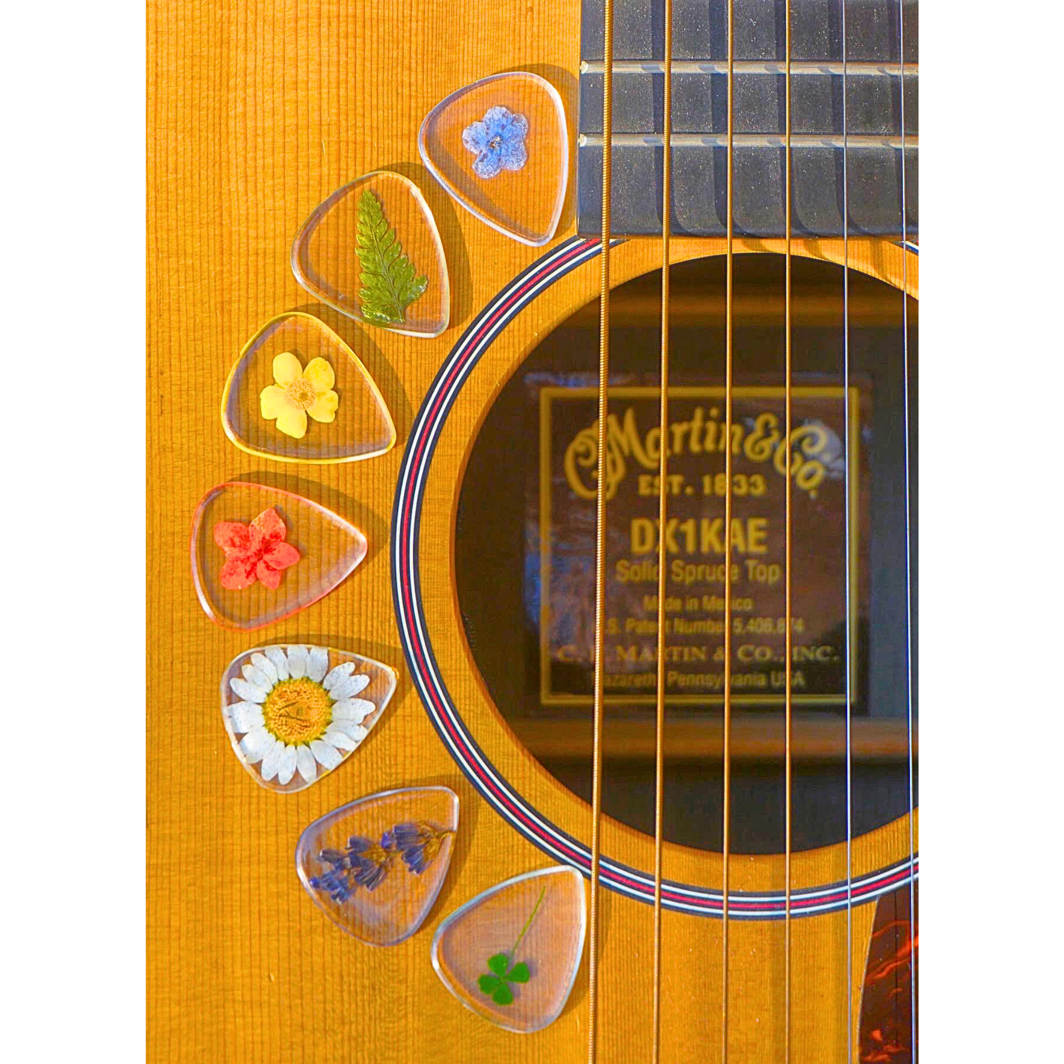 Terra Tone – wholesale Music accessory – Flower Guitar Picks - Buttercup Novelty Gift For Music Lover2