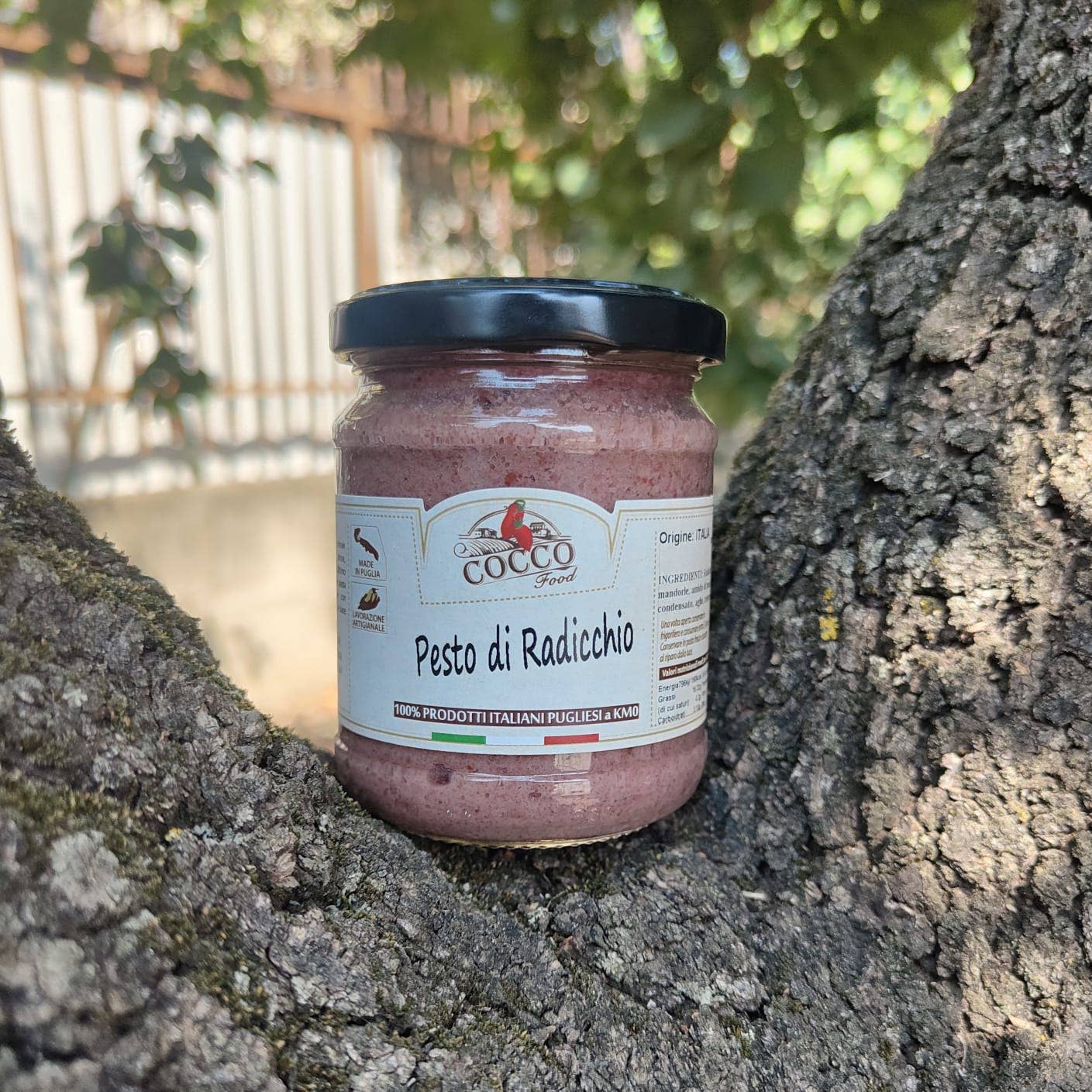 Cocco Food - Wholesale Pesto - Chicory and Ginger Pesto - for Croutons and Appetizers0