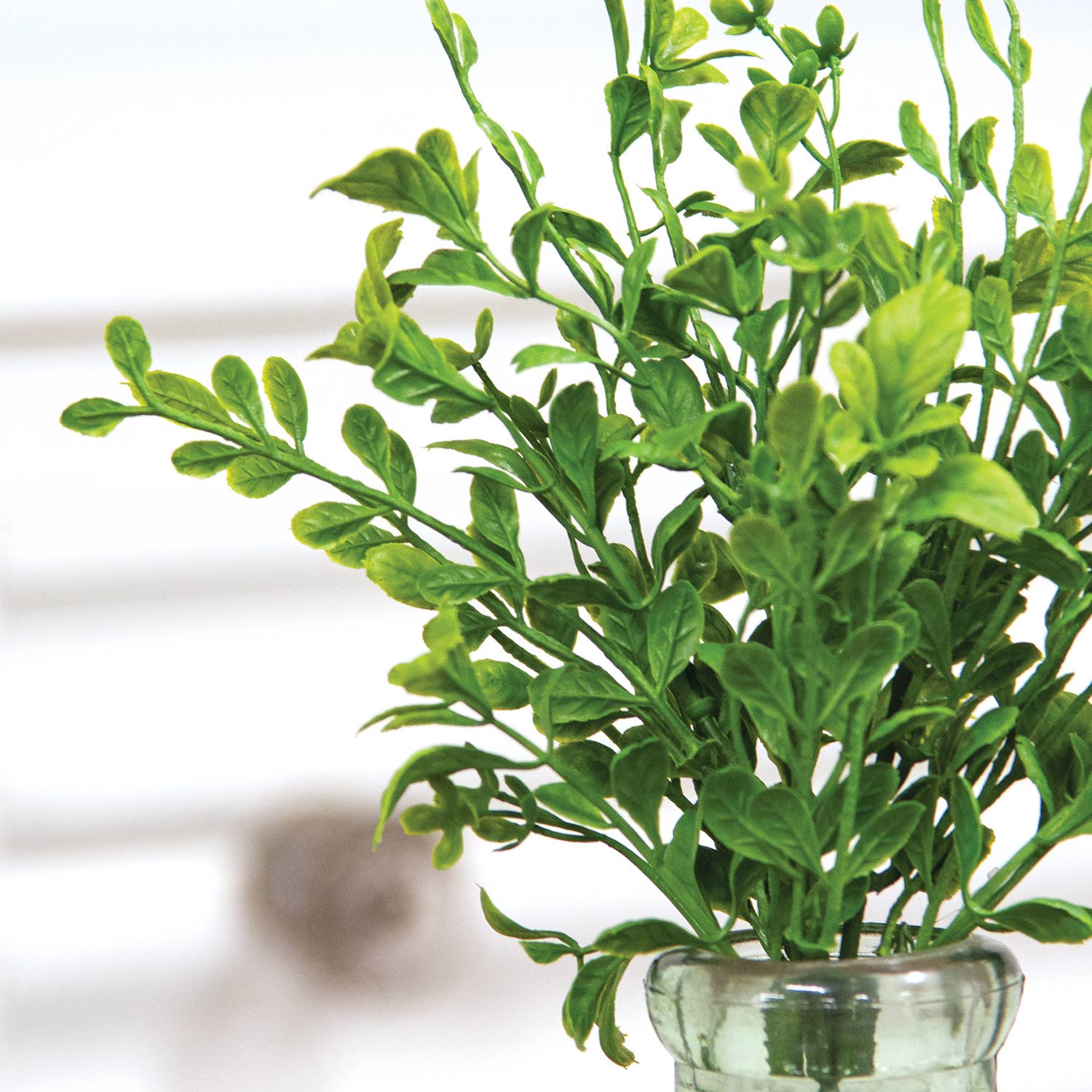 Saybrook Lane - Venta al por mayor Plantas artificiales - Palillo Evergreen para madera de boj inglés, 13 pulgadas2