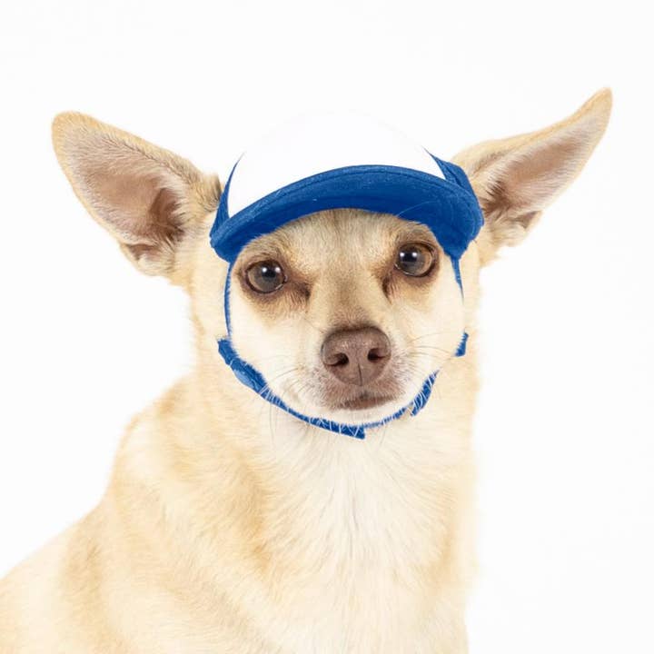 PupLid - Wholesale Pet Hat - Dog - Blank Foam | Trucker Hat for Dogs