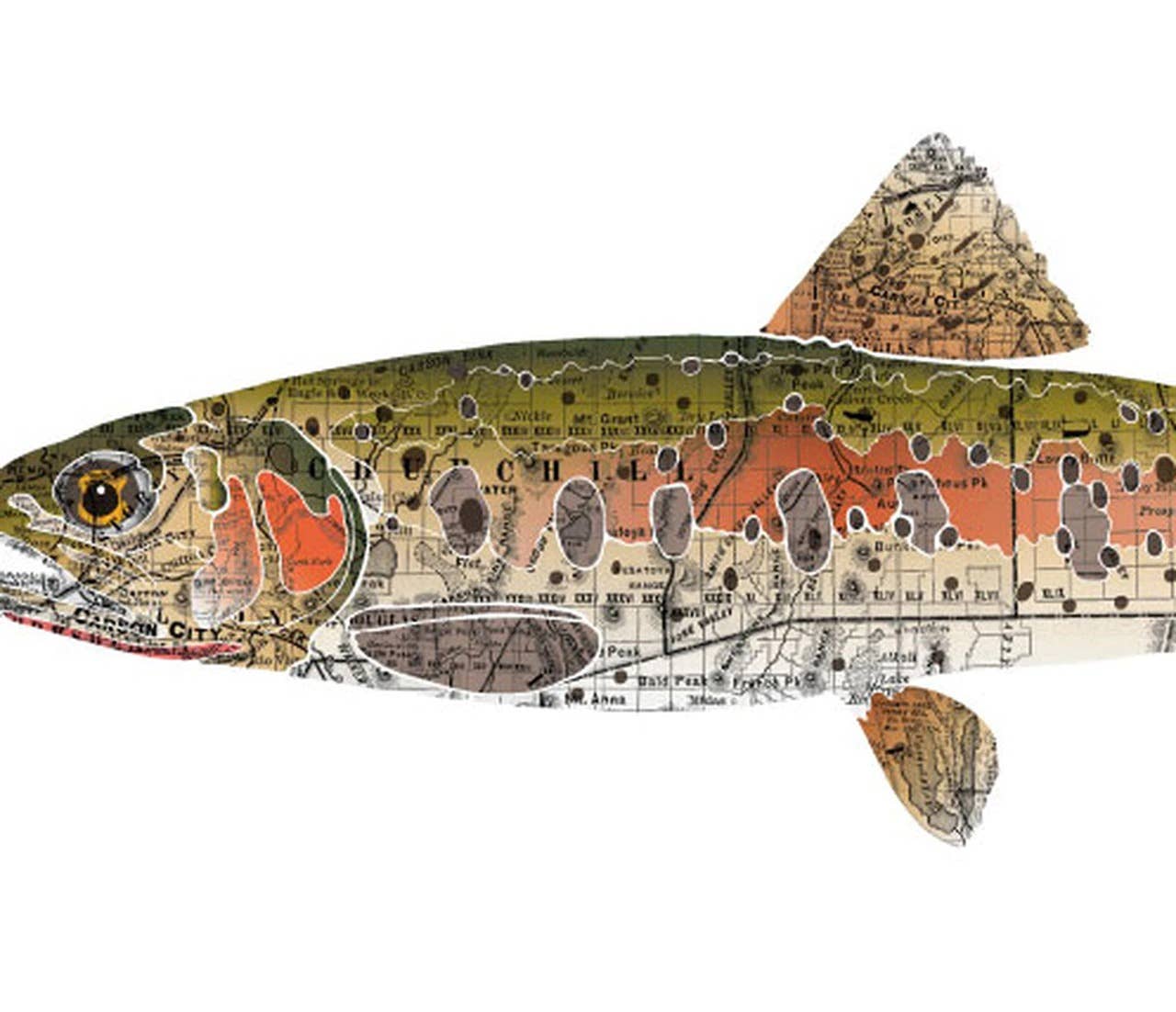 Wooden Pencil Company - Wholesale Art Print - Nevada State Fish, Gift For Him - Lahontan Cutthroat Trout4