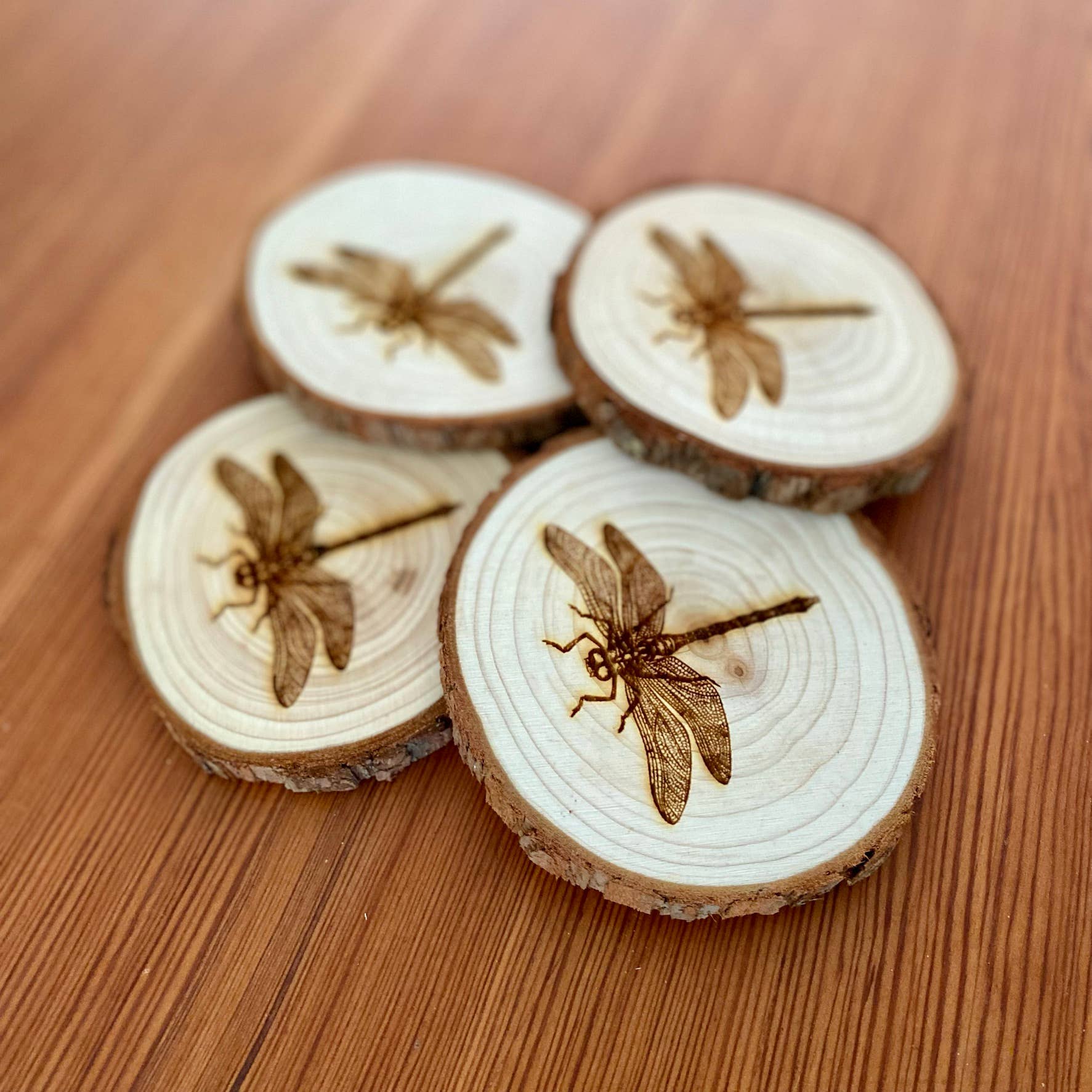 Munsell Made - Wholesale Coasters - Engraved Wood Dragonfly Coasters