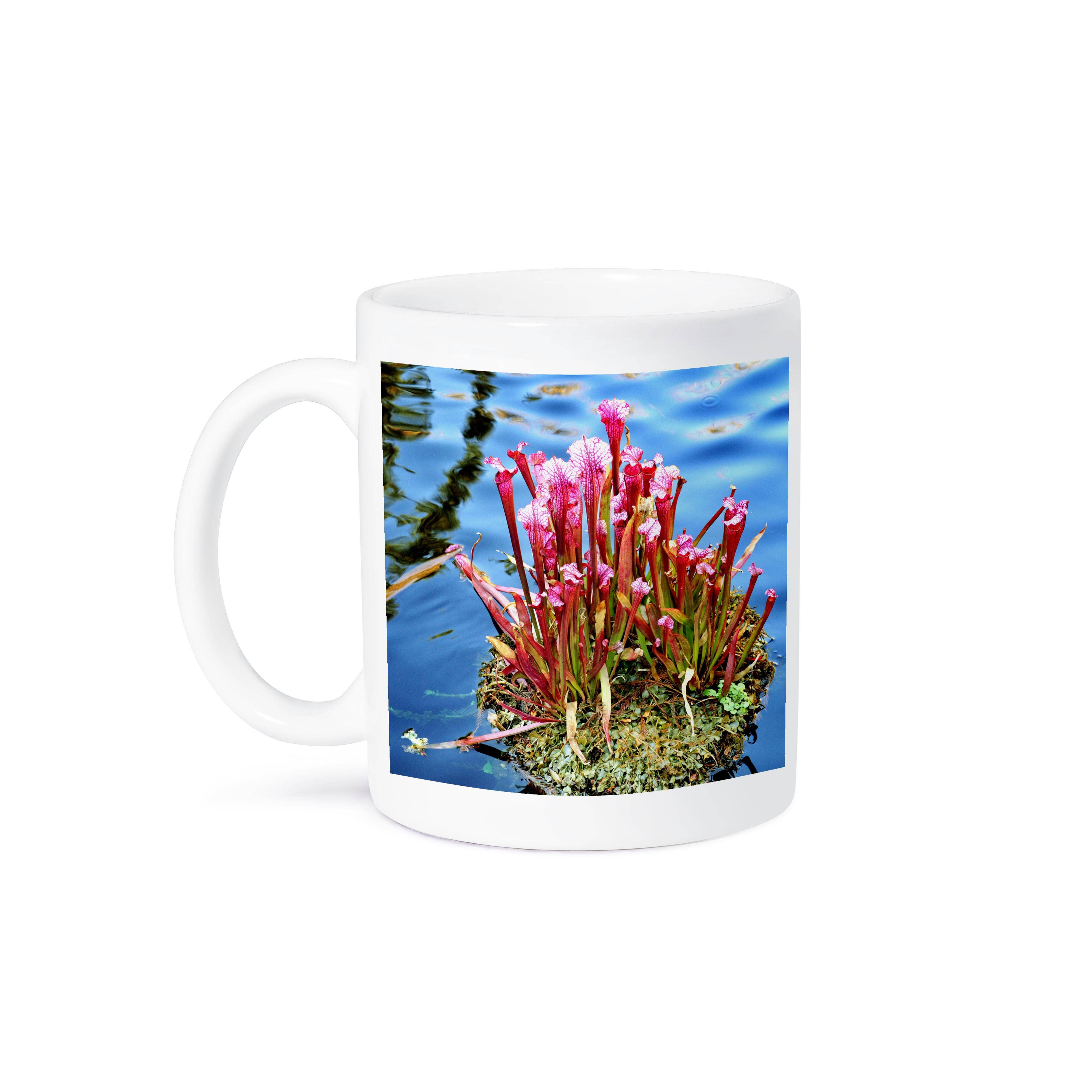 3dRose - Wholesale Coffee Mug - 3dRose, This is a carnivorous plant that lives in the water, Mug8