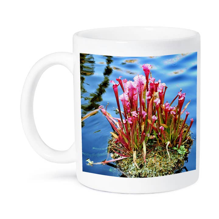 3dRose - Wholesale Coffee Mug - 3dRose, This is a carnivorous plant that lives in the water, Mug8