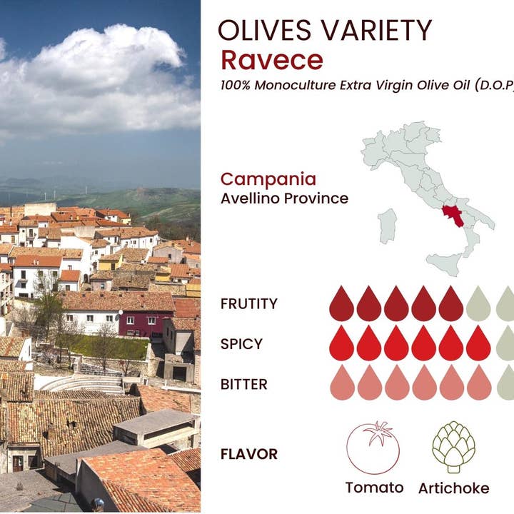 Wholesale Italian Food - Wholesale Olive Oil - Basso 1904 Extra Virgin Olive Oil Limited Edition Gift Set (5 x 100 ml)2