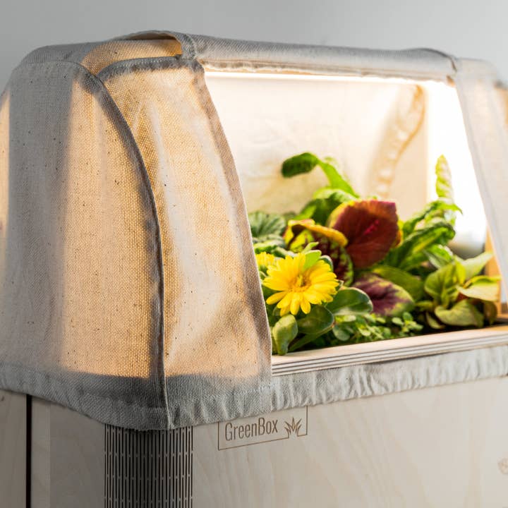 BerlinGreen - Wholesale Plant seeds - GreenBox Great Variety Bundle3