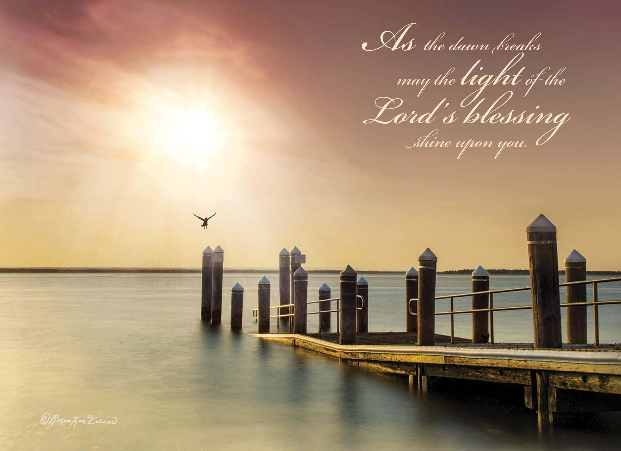 Crown Point Graphics - Wholesale Birthday Card - Celebrations -  48 Assorted Birthday Cards by Shared Blessings14